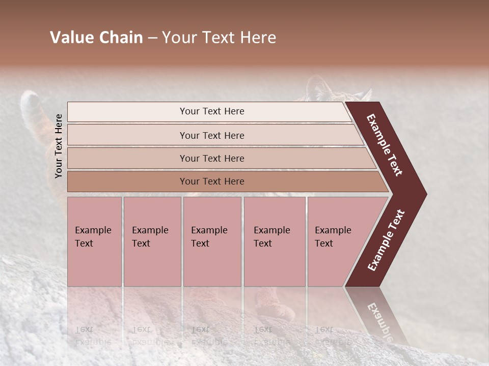 Rode Lynx PowerPoint Template