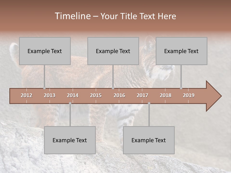 Rode Lynx PowerPoint Template