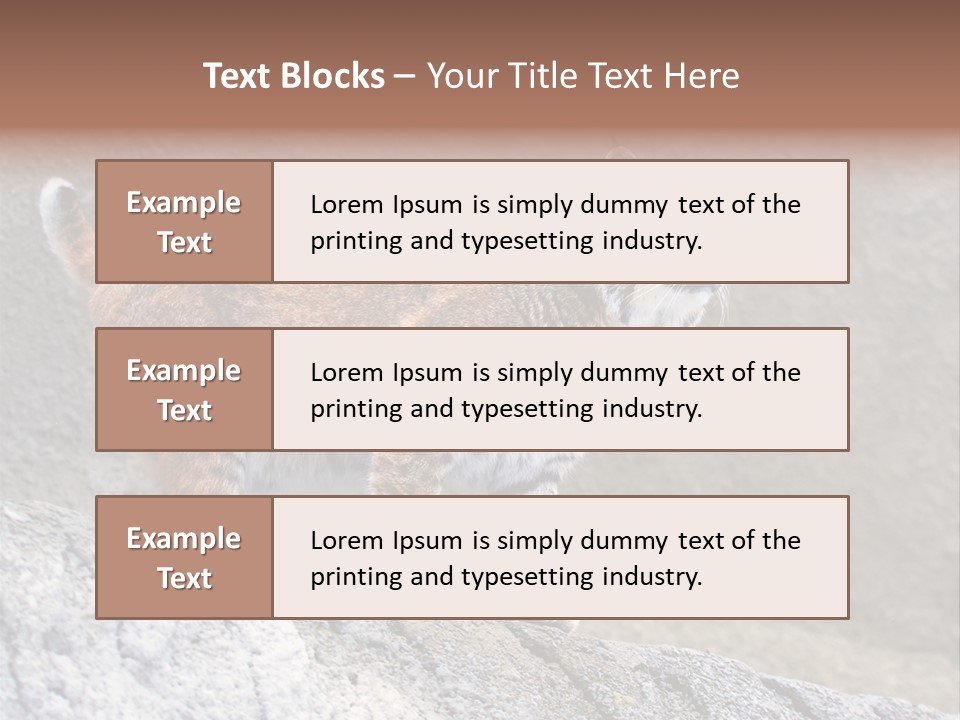 Rode Lynx PowerPoint Template