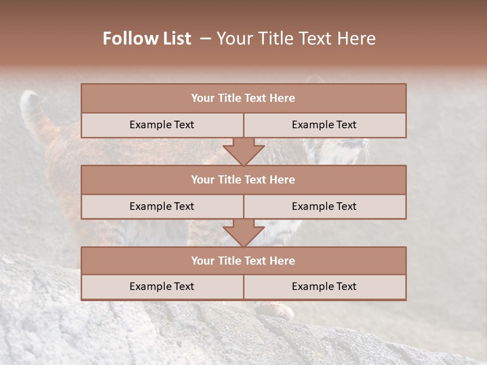 Rode Lynx PowerPoint Template