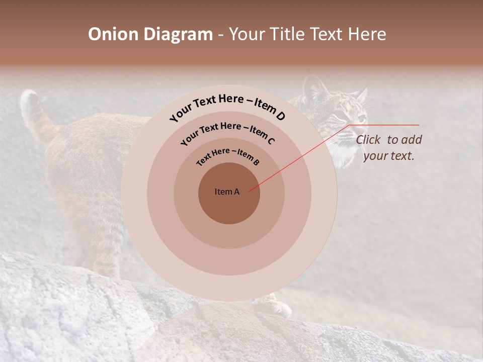 Rode Lynx PowerPoint Template