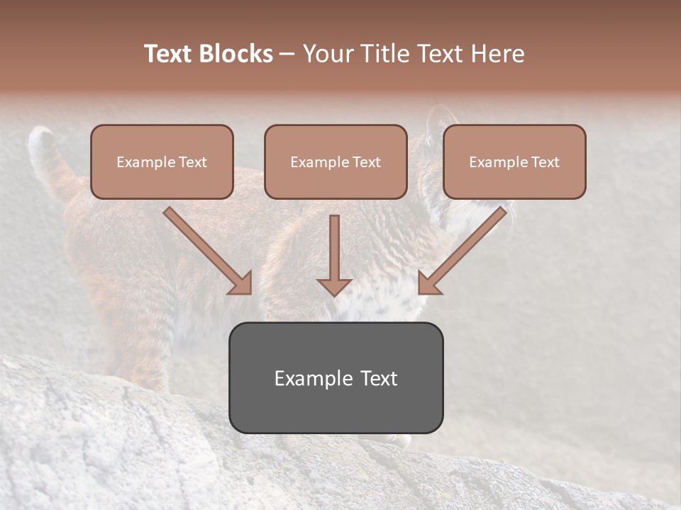 Rode Lynx PowerPoint Template