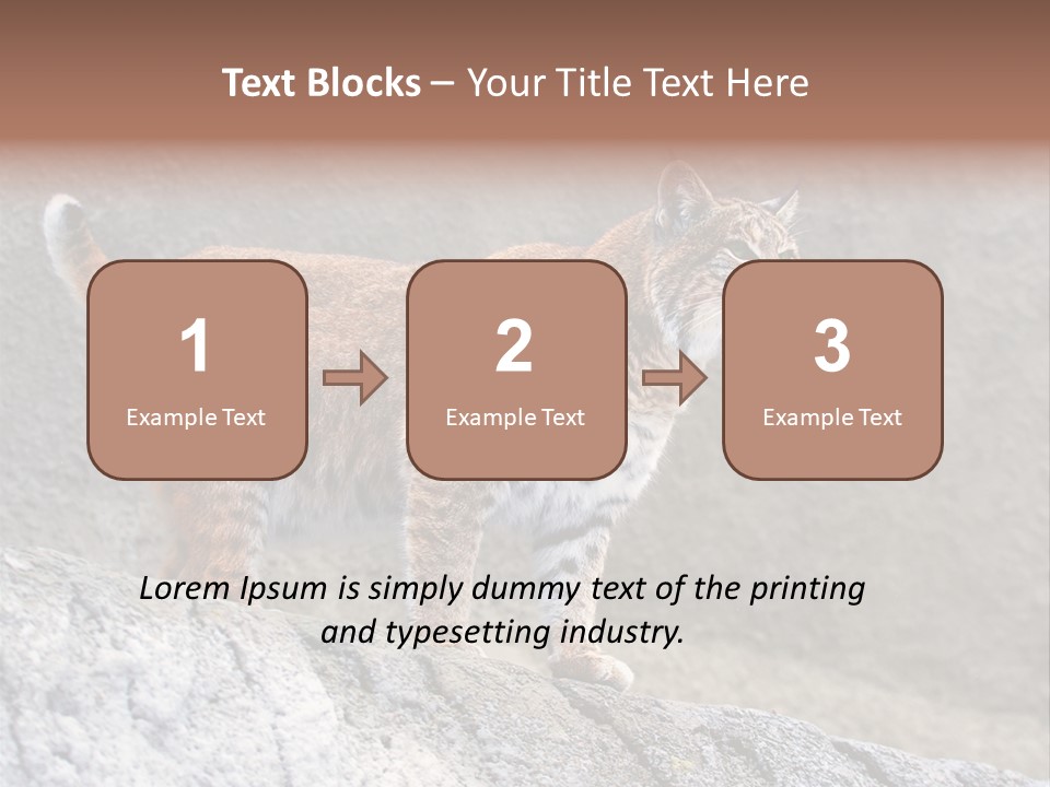 Rode Lynx PowerPoint Template