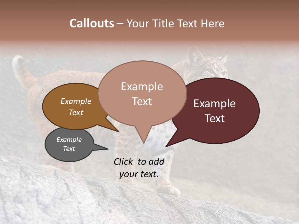 Rode Lynx PowerPoint Template