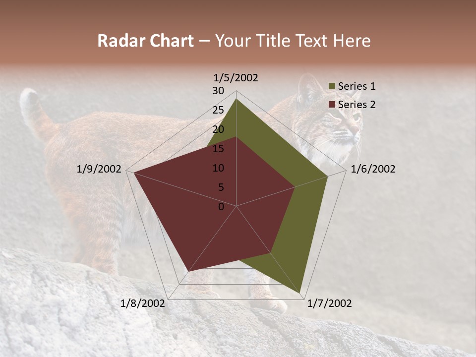 Rode Lynx PowerPoint Template