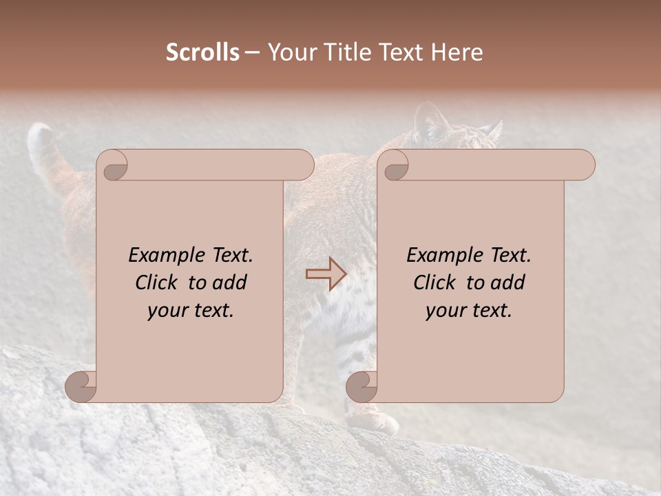 Rode Lynx PowerPoint Template
