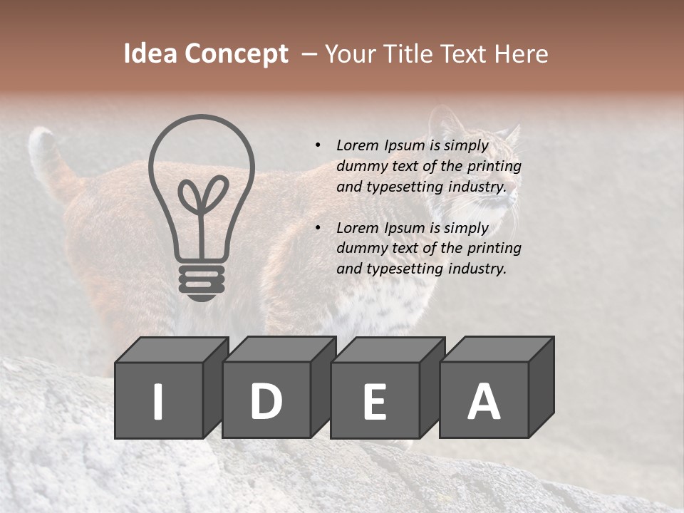 Rode Lynx PowerPoint Template