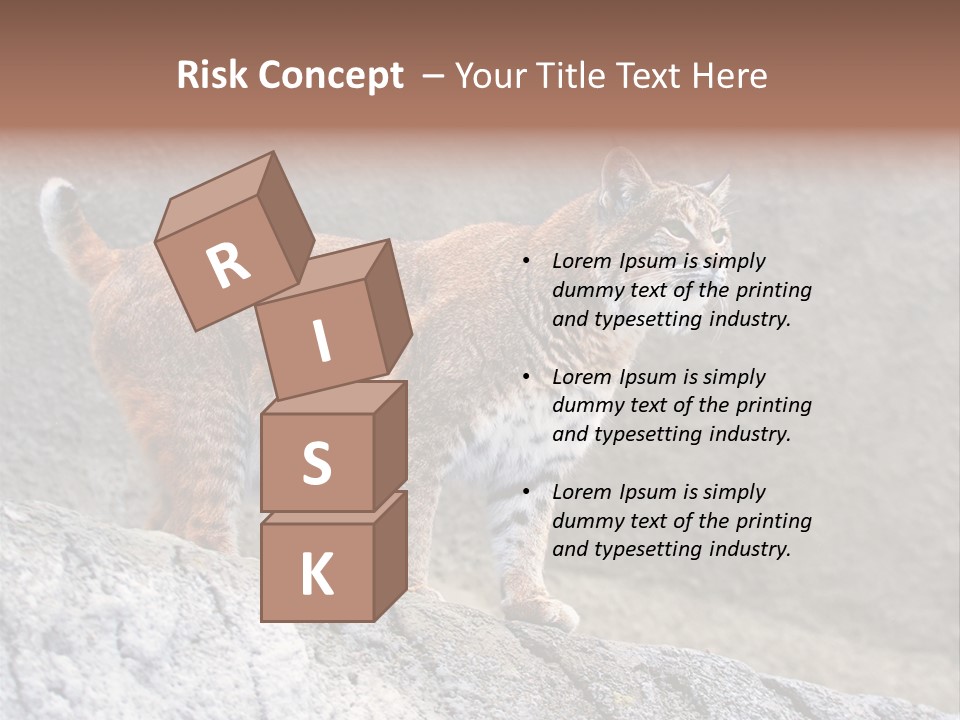 Rode Lynx PowerPoint Template