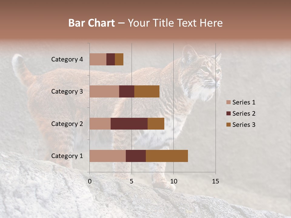Rode Lynx PowerPoint Template