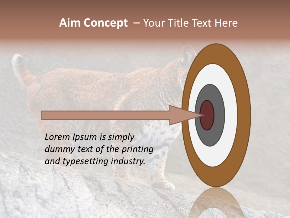 Rode Lynx PowerPoint Template