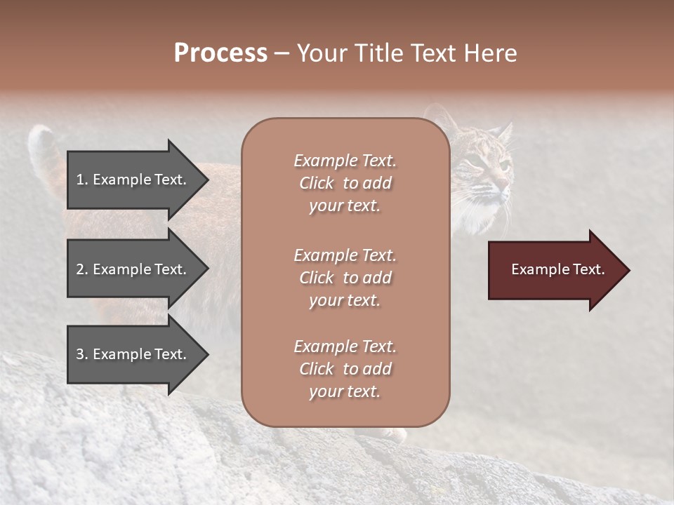 Rode Lynx PowerPoint Template
