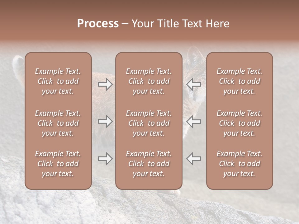 Rode Lynx PowerPoint Template