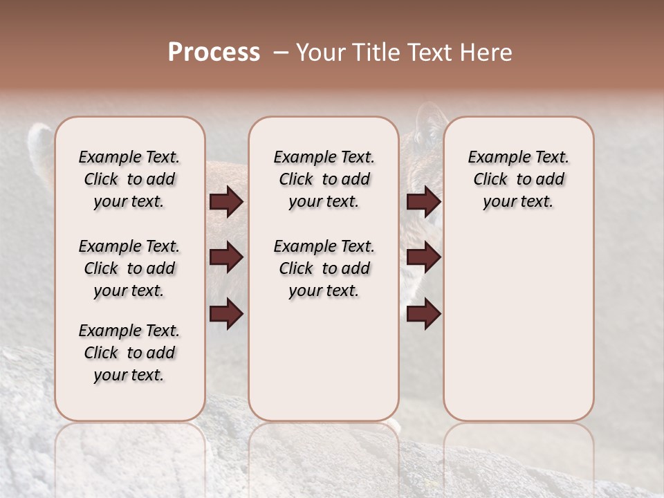 Rode Lynx PowerPoint Template