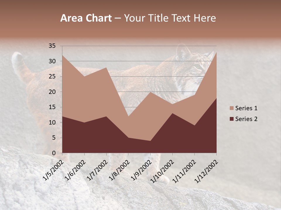 Rode Lynx PowerPoint Template