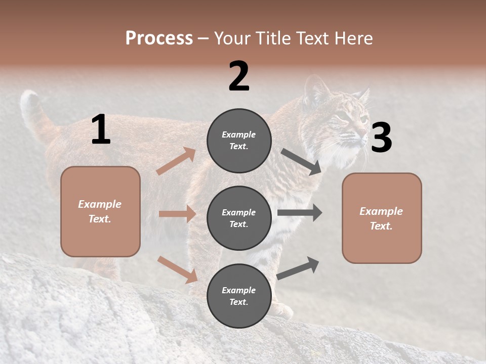 Rode Lynx PowerPoint Template