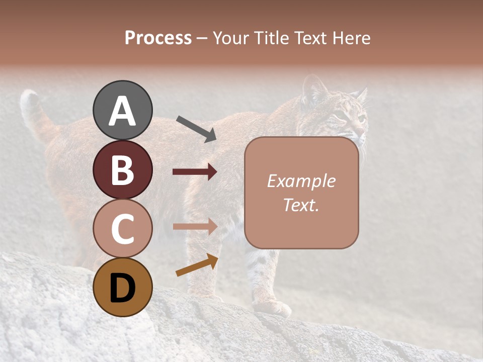 Rode Lynx PowerPoint Template