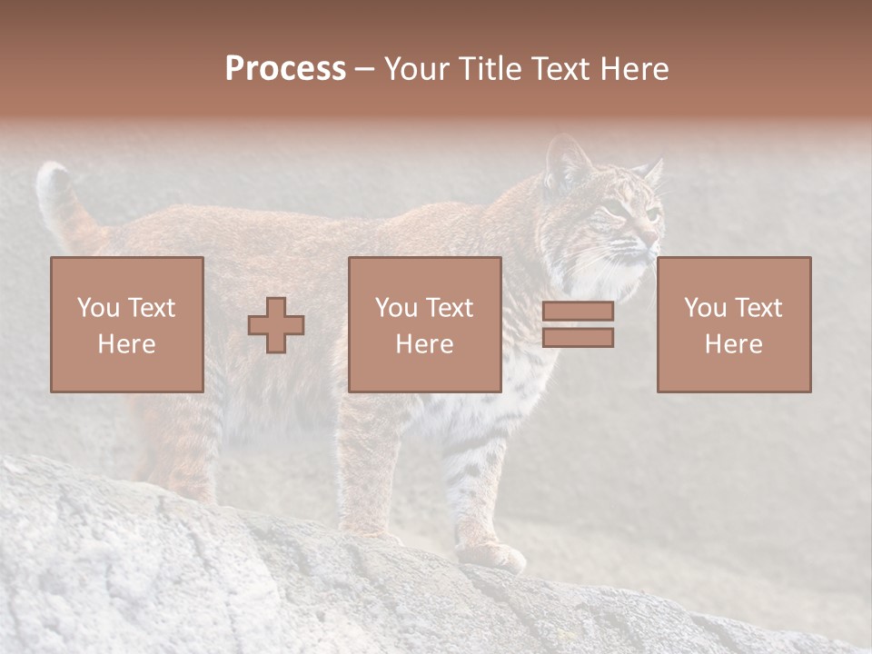 Rode Lynx PowerPoint Template