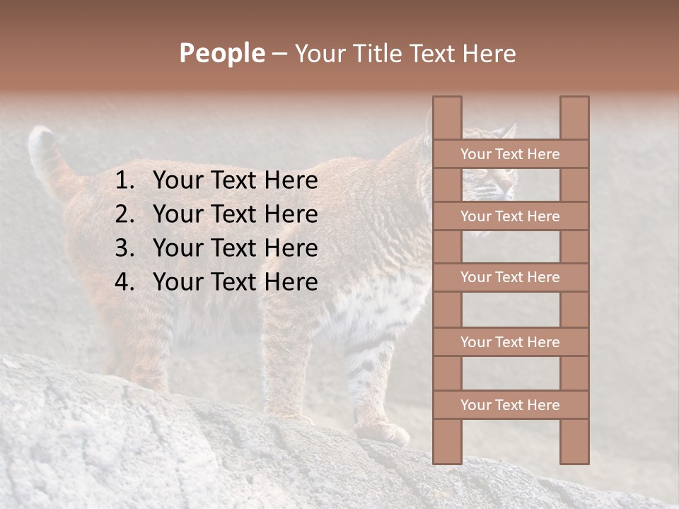 Rode Lynx PowerPoint Template