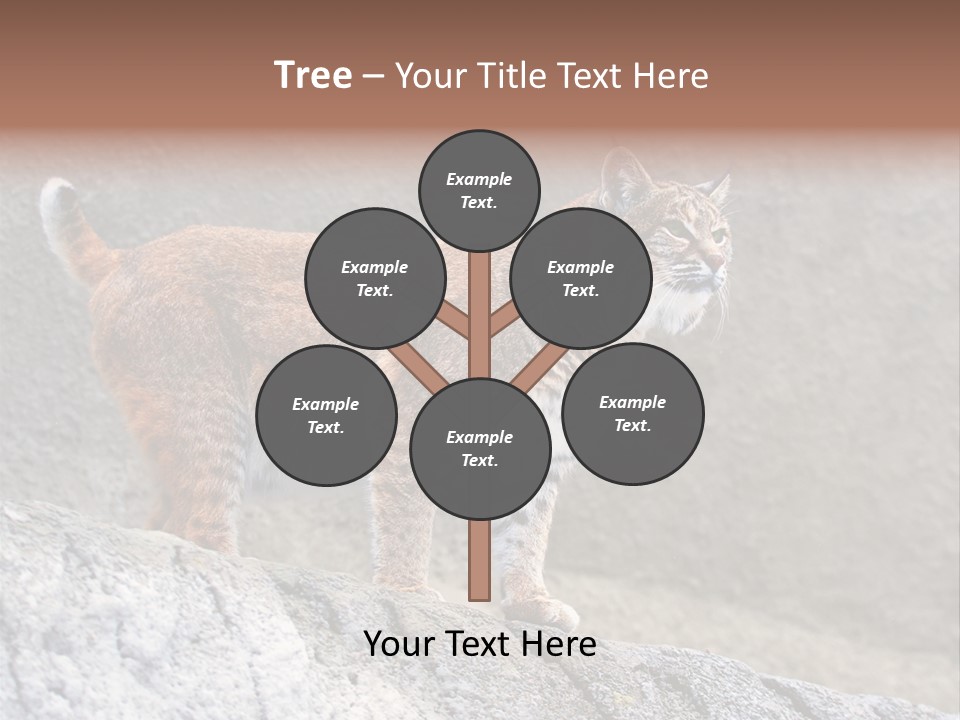 Rode Lynx PowerPoint Template