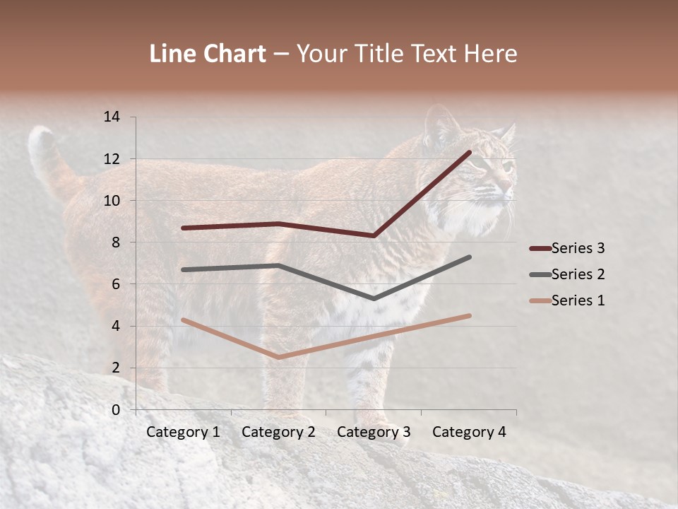 Rode Lynx PowerPoint Template