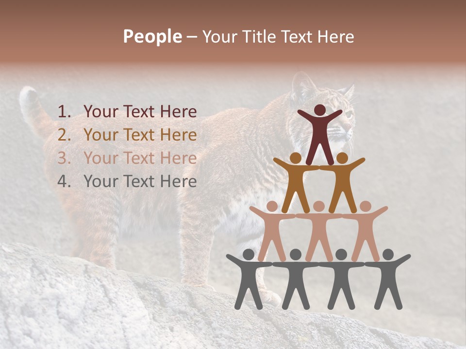 Rode Lynx PowerPoint Template