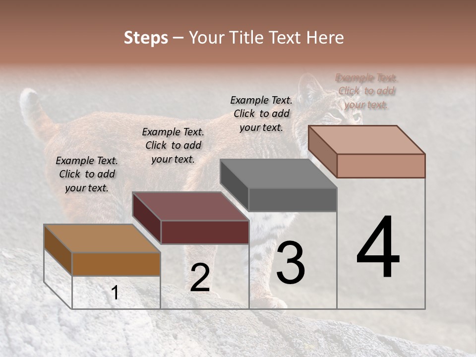 Rode Lynx PowerPoint Template