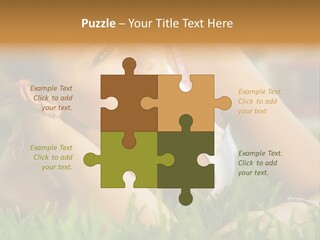Meadow Person People PowerPoint Template