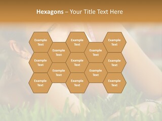 Meadow Person People PowerPoint Template