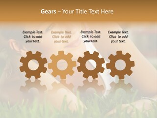 Meadow Person People PowerPoint Template