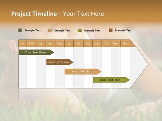 Meadow Person People PowerPoint Template