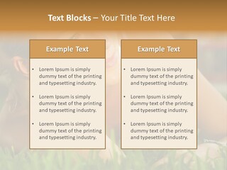 Meadow Person People PowerPoint Template