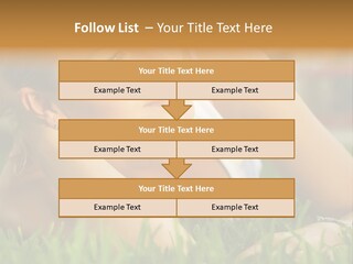 Meadow Person People PowerPoint Template
