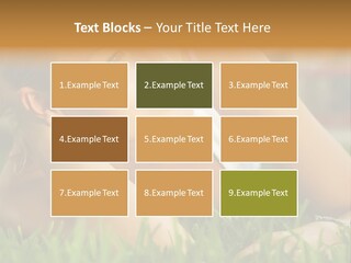 Meadow Person People PowerPoint Template