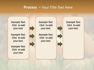 Meadow Person People PowerPoint Template