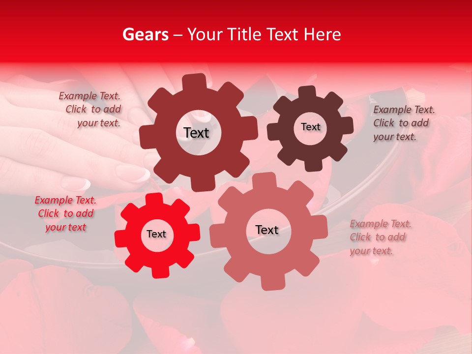 Rose Petals In Water PowerPoint Template