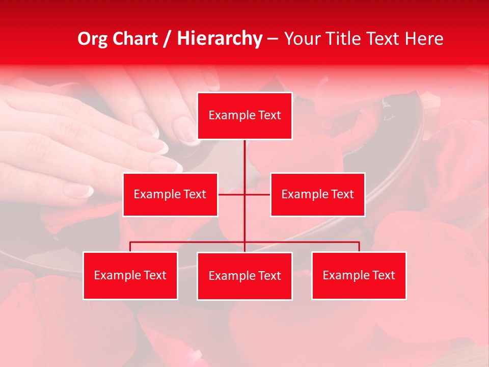 Rose Petals In Water PowerPoint Template