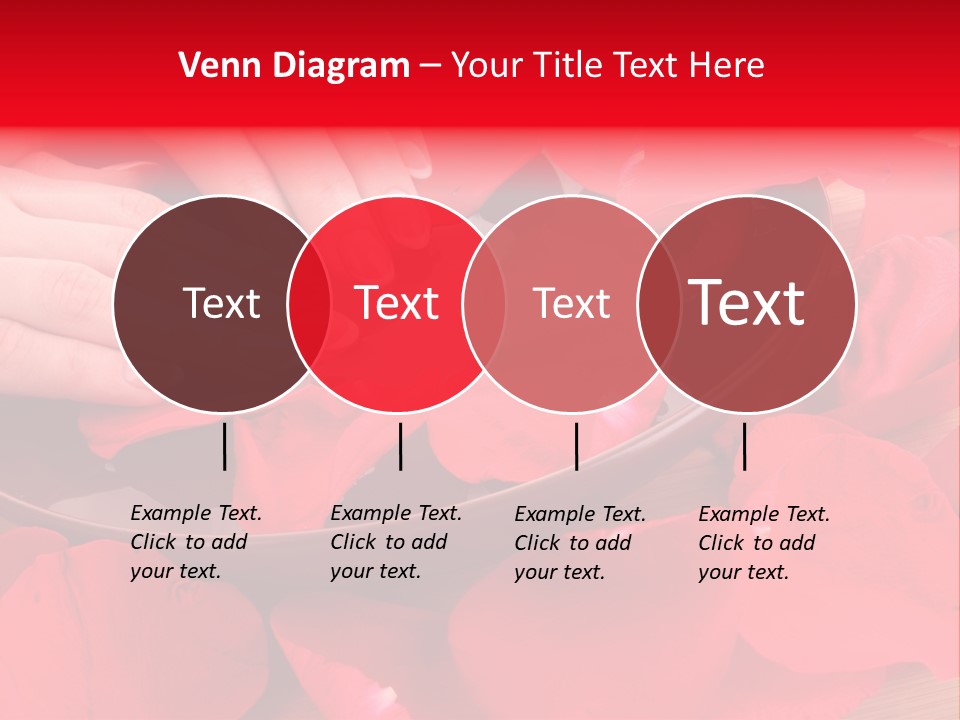 Rose Petals In Water PowerPoint Template