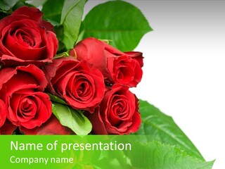 Rose Flowers PowerPoint Template