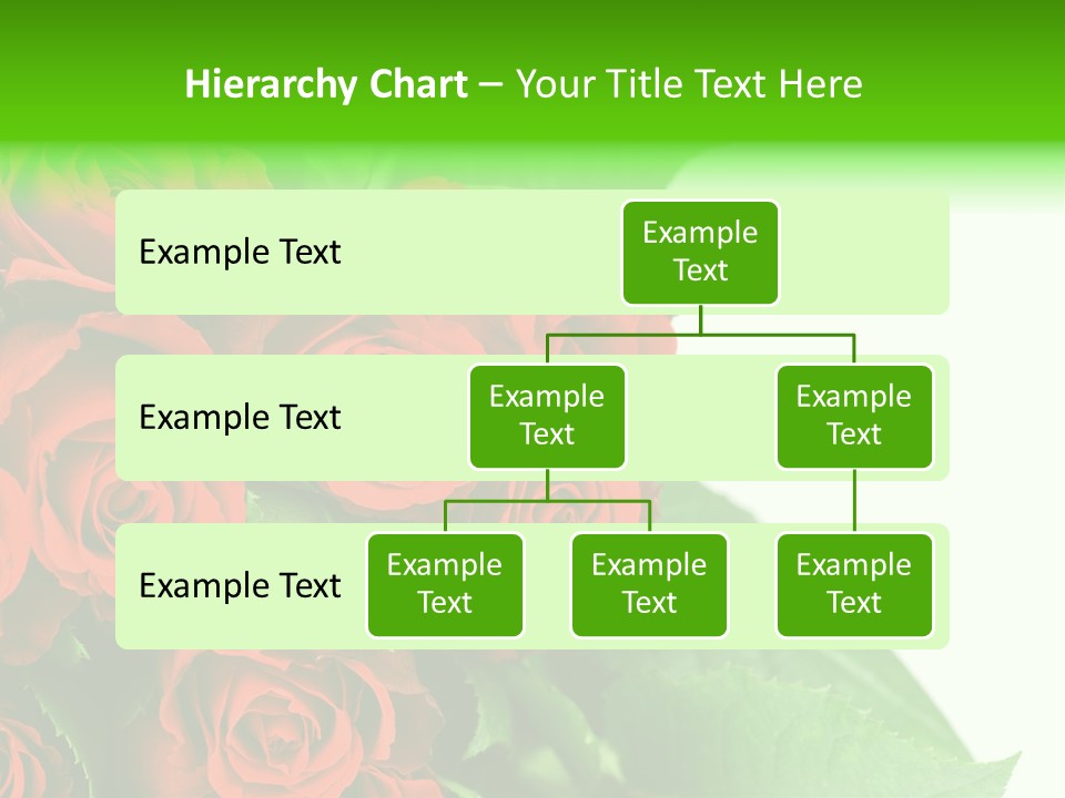 Rose Flowers PowerPoint Template