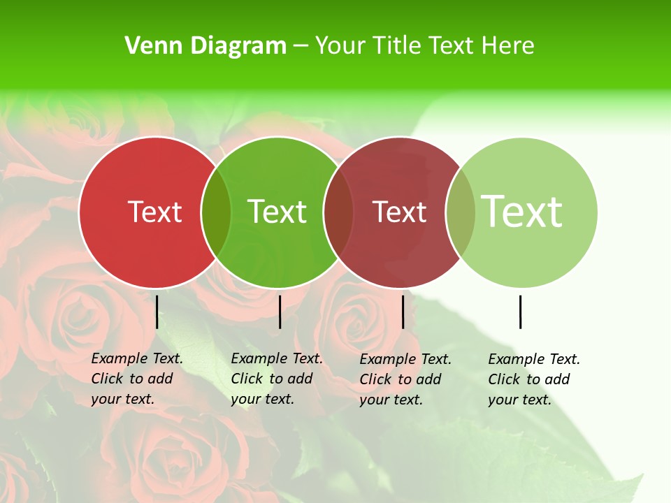 Rose Flowers PowerPoint Template