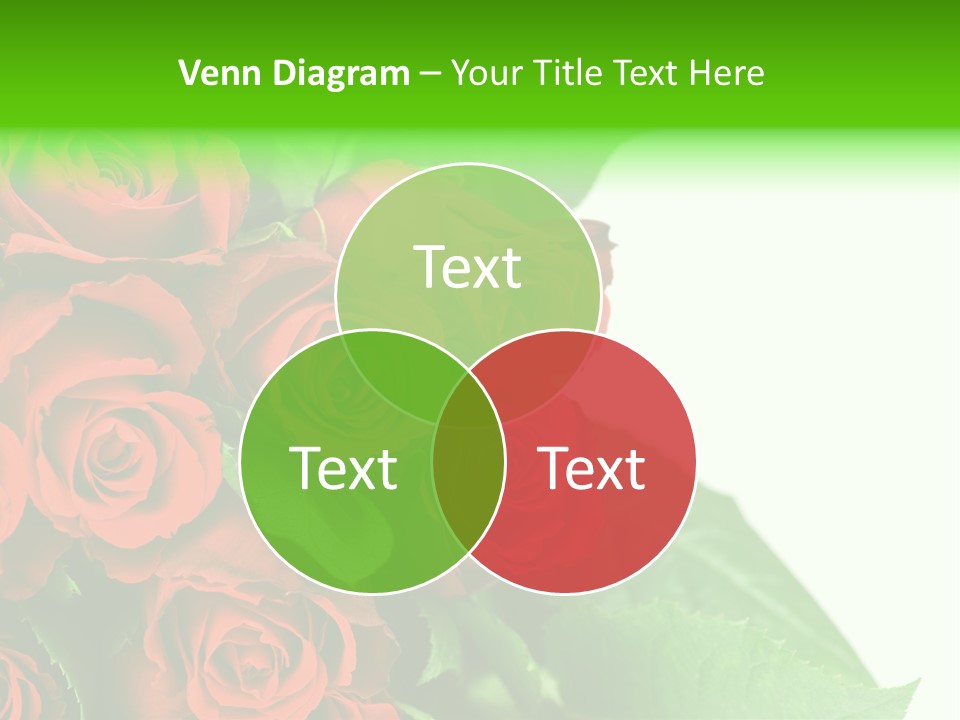 Rose Flowers PowerPoint Template