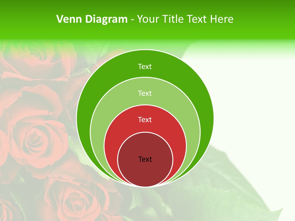 Rose Flowers PowerPoint Template