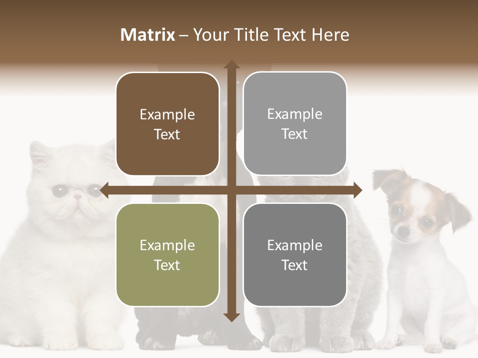 White Animal Mammal PowerPoint Template