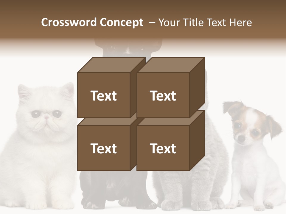 White Animal Mammal PowerPoint Template