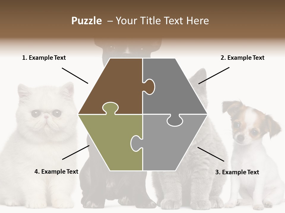 White Animal Mammal PowerPoint Template