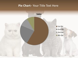 White Animal Mammal PowerPoint Template