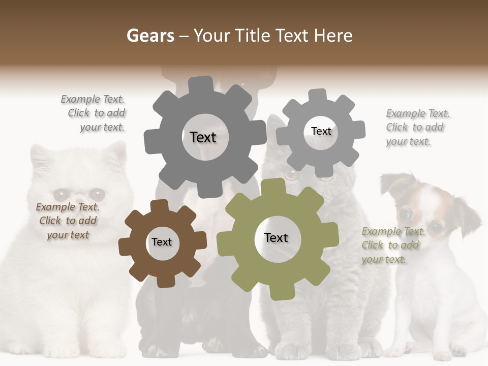White Animal Mammal PowerPoint Template