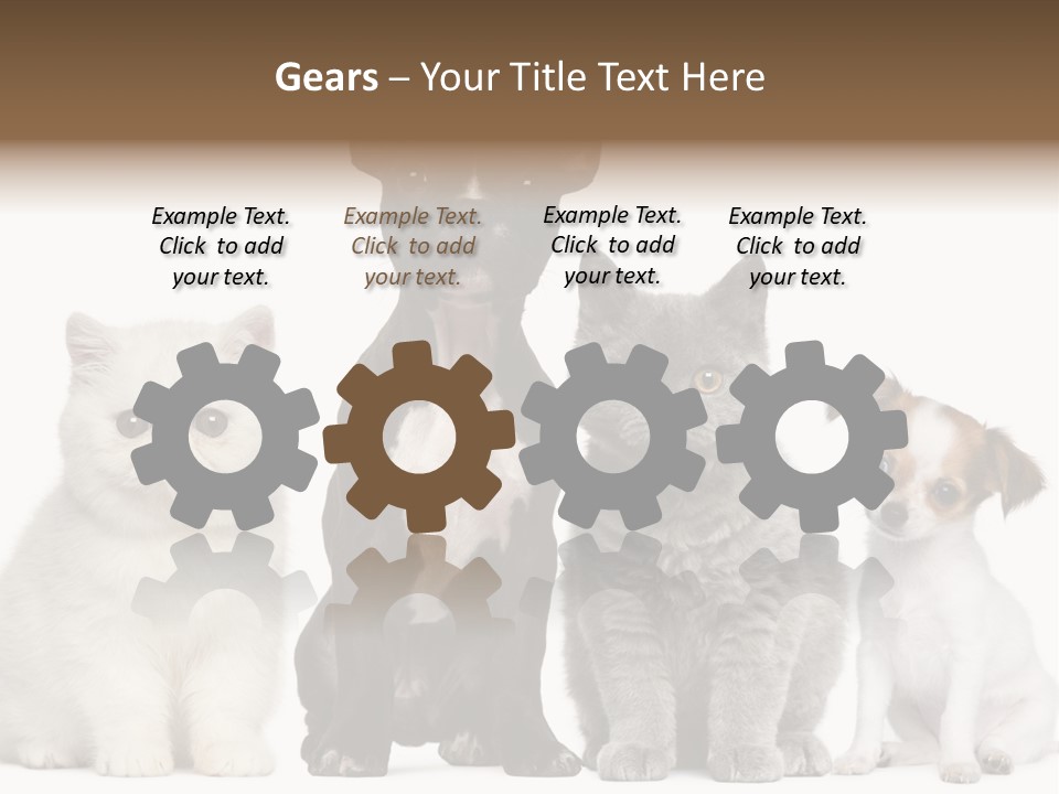 White Animal Mammal PowerPoint Template