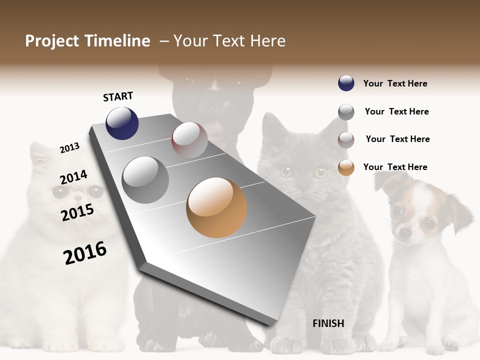 White Animal Mammal PowerPoint Template