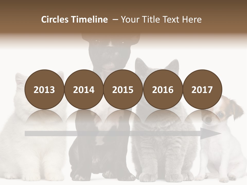 White Animal Mammal PowerPoint Template
